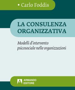 La consulenza organizzativa