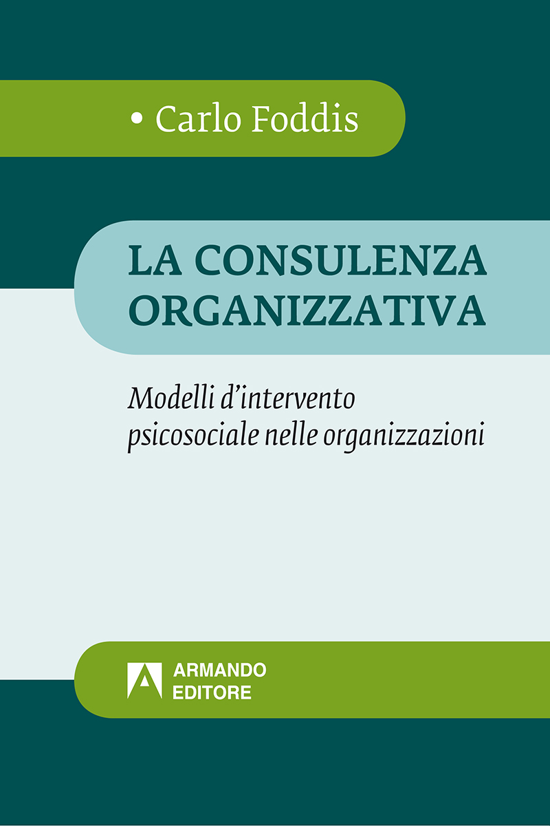 La consulenza organizzativa