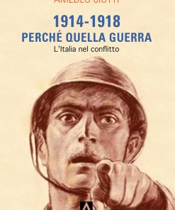 1914-1918. Perché quella guerra