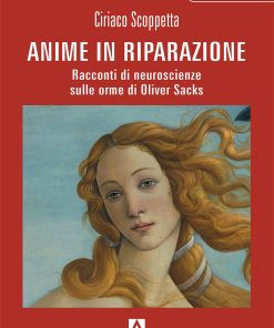 Anime in riparazione