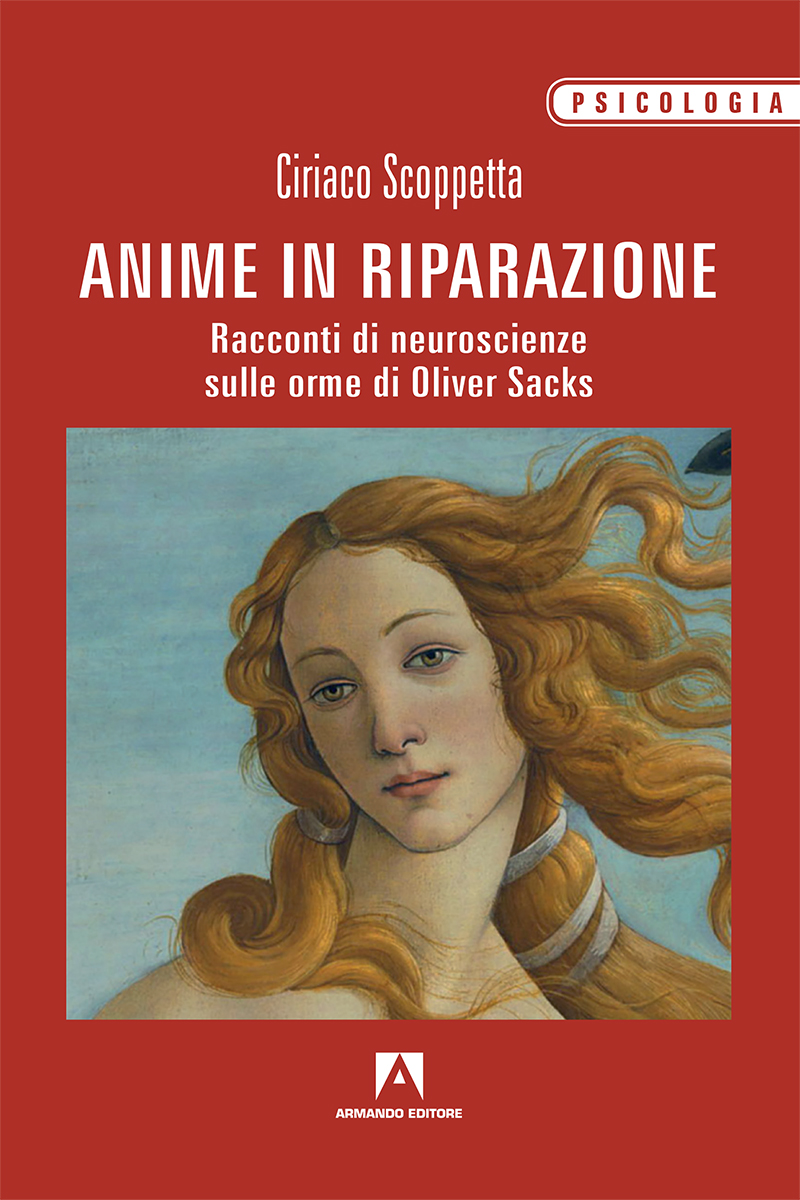 Anime in riparazione