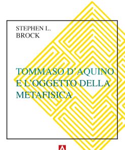 Tommaso d'Aquino e l'oggetto della metafisica