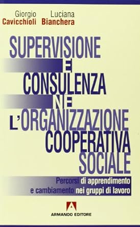 Supervisione e consulenza nell`organizzazione