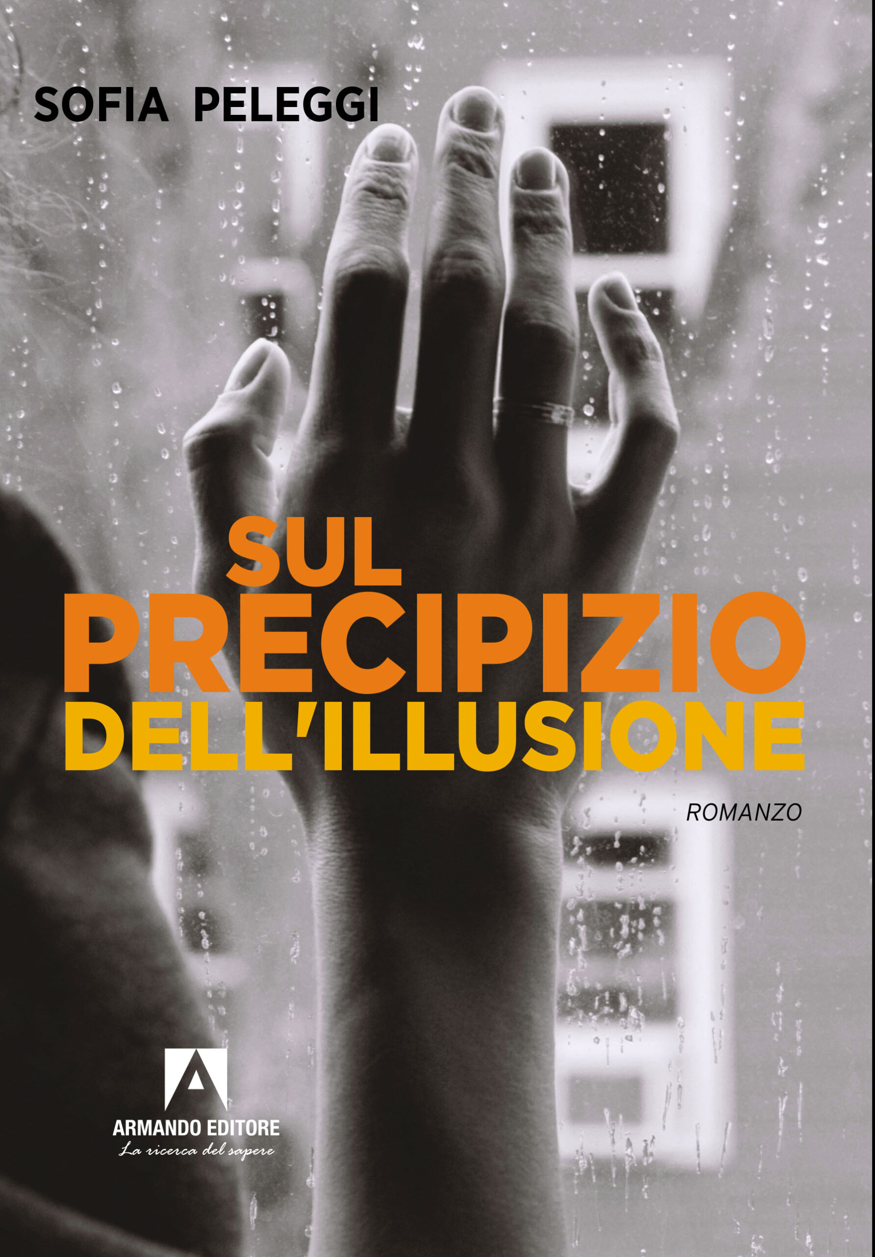 Sul precipizio dell'illusione