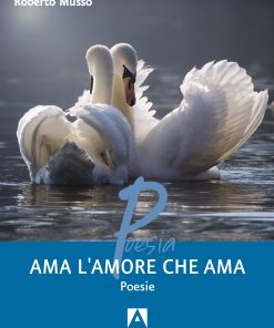 Ama l'amore che ama