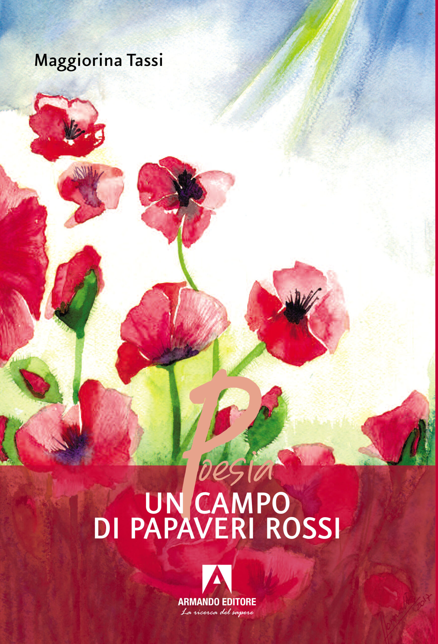 Un campo di papaveri rossi