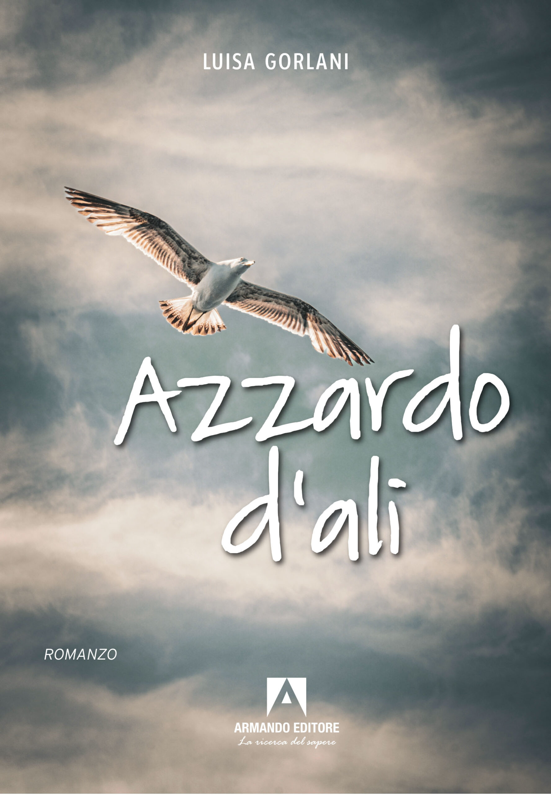 Azzardo d'ali