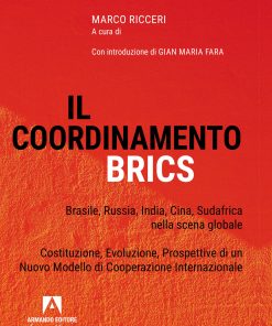 Il coordinamento BRICS