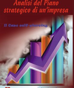 Analisi del piano strategico di un'impresa